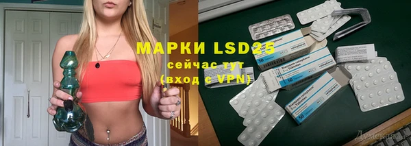 PSILOCYBIN Балабаново